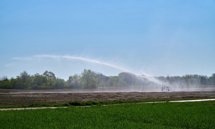 Irrigation Strategies in Phoenix